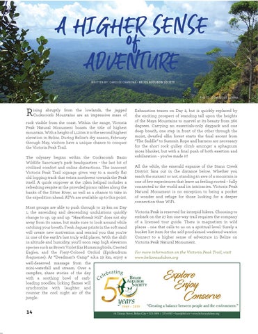 Caribbean Culture and Lifestyle 期 5 - 2019 第 14 页