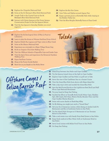 Caribbean Culture and Lifestyle 期 5 - 2019 第 17 页
