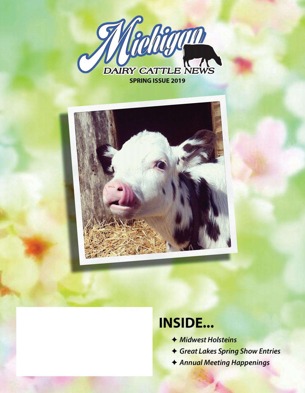 Michigan Dairy Cattle News Spring 2019 Issue by Dairy Agenda Today Issuu