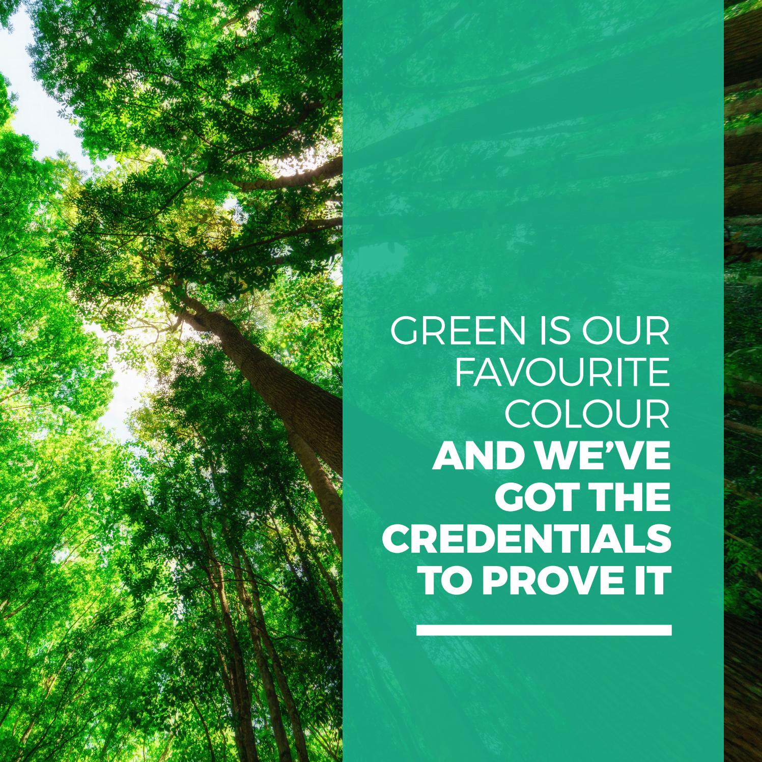 Green is my favorite color quotes image