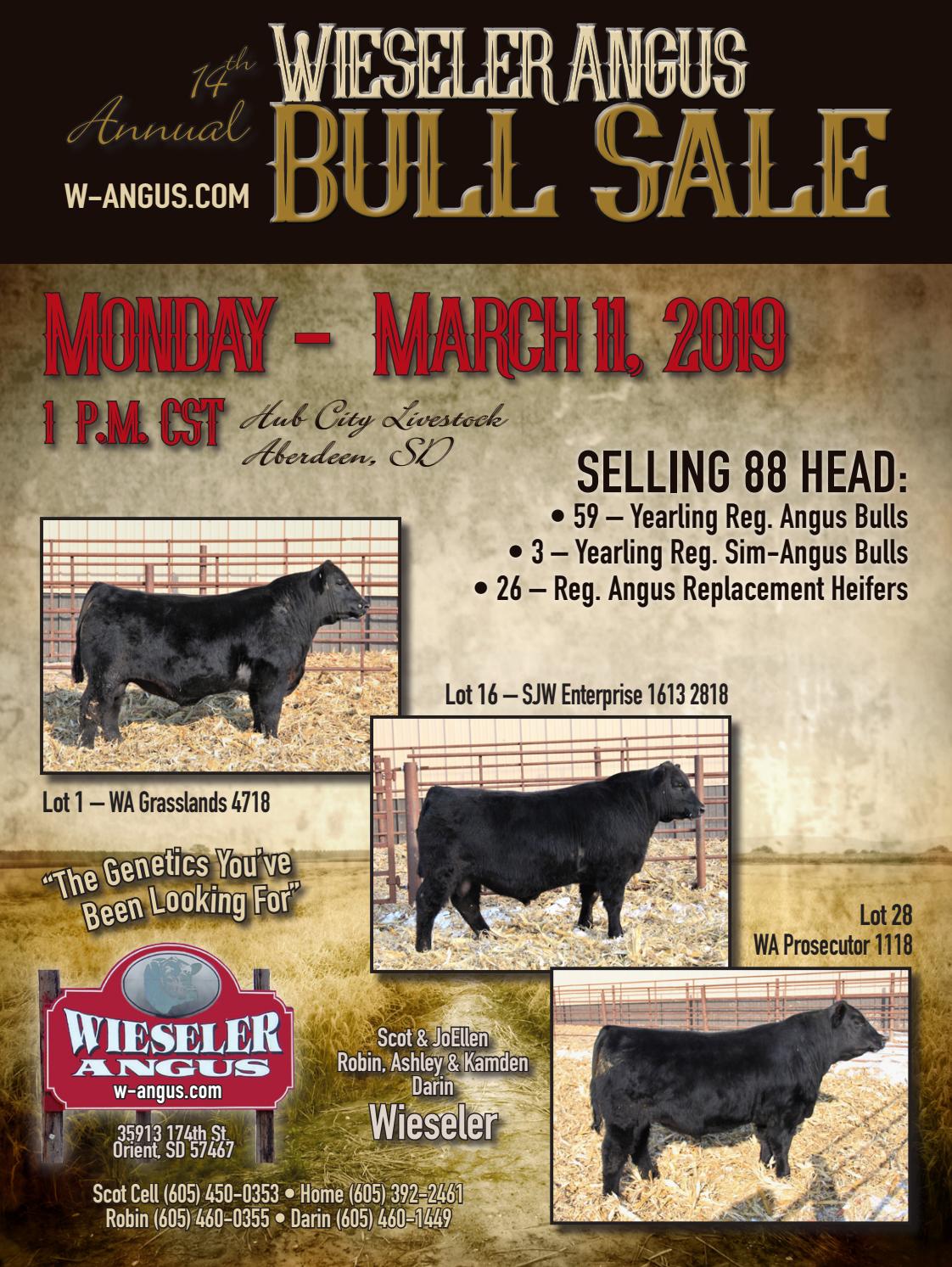 2019 Wieseler Angus Bull Sale Catalog by Moxie Marketing of the Midwest