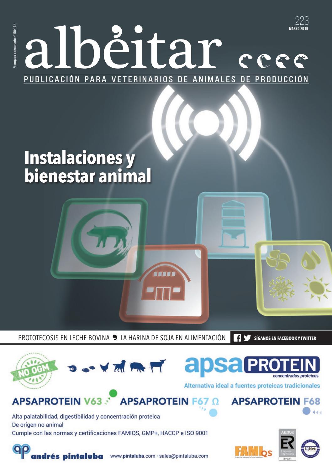 Cómo curar baja pb al instante