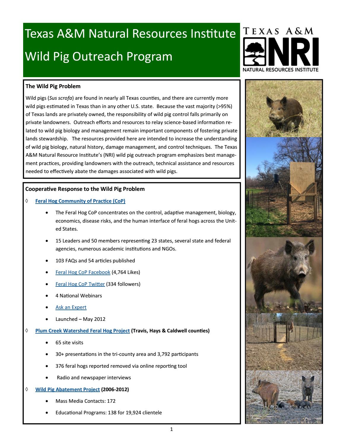 Wild Pig Outreach Program Online Resources Document By Texas A M