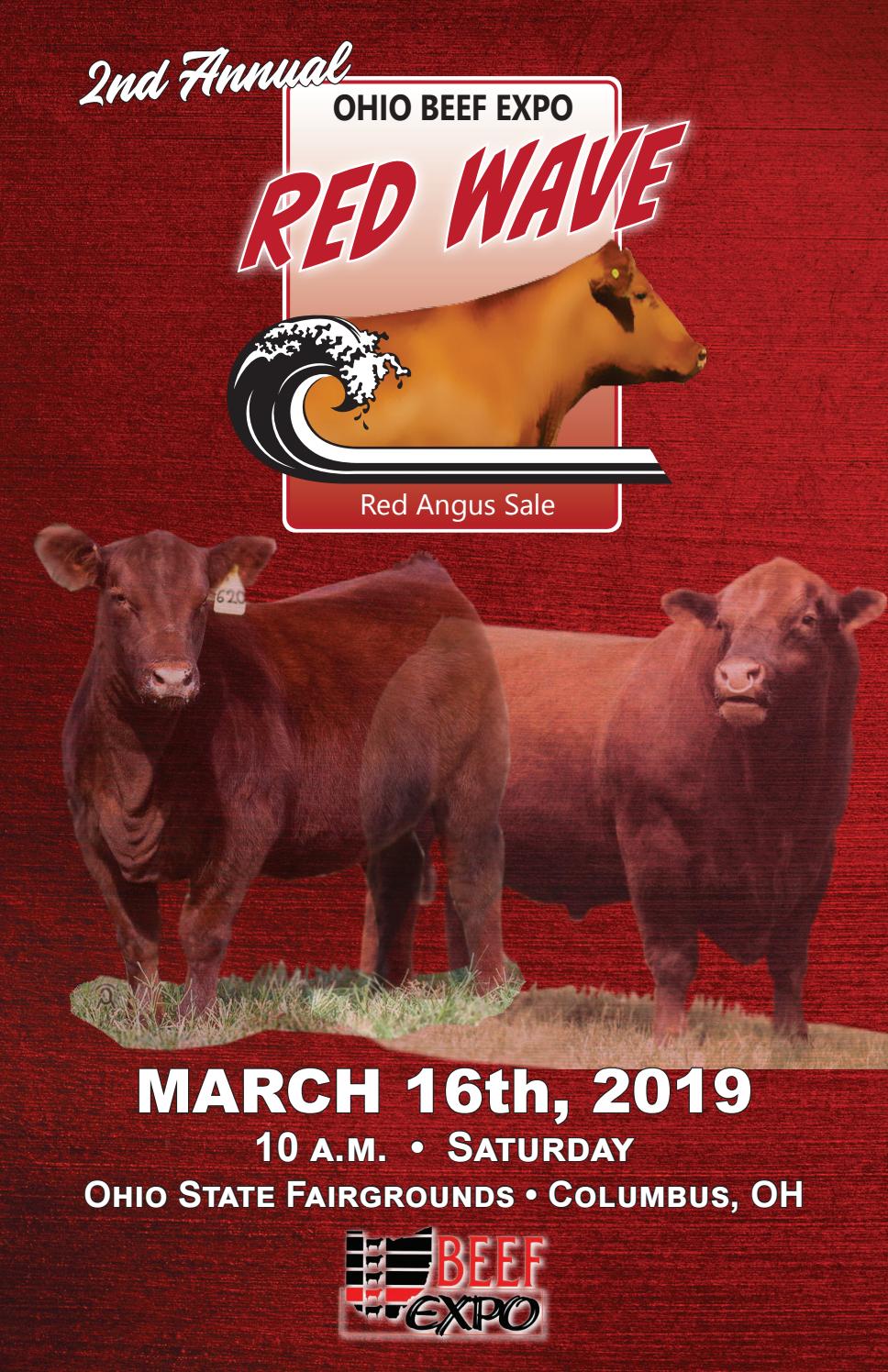 2019 Ohio Beef Expo Red Wave Red Angus Sale Catalog by LivestockDirect