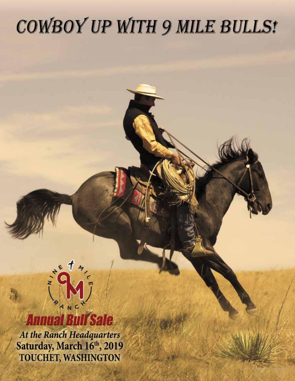 9 Mile Ranch Bull Sale by Ranch House Designs Issuu