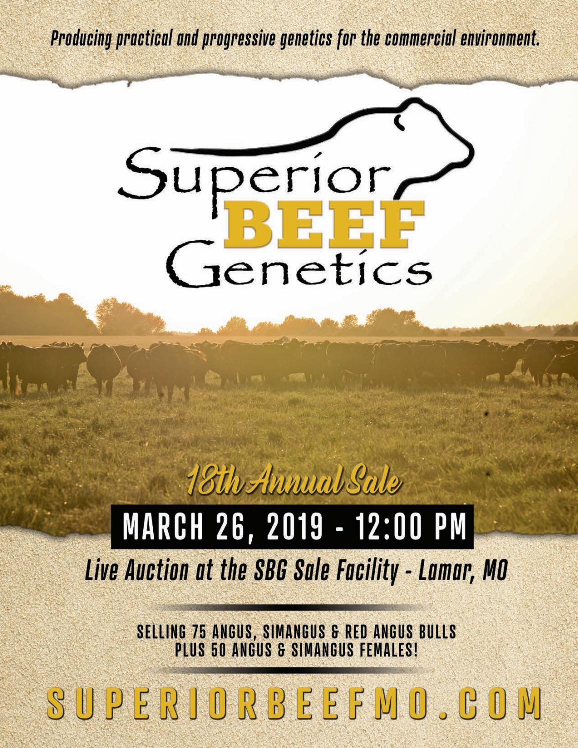 2019 Superior Beef Catalog by LivestockDirect Issuu
