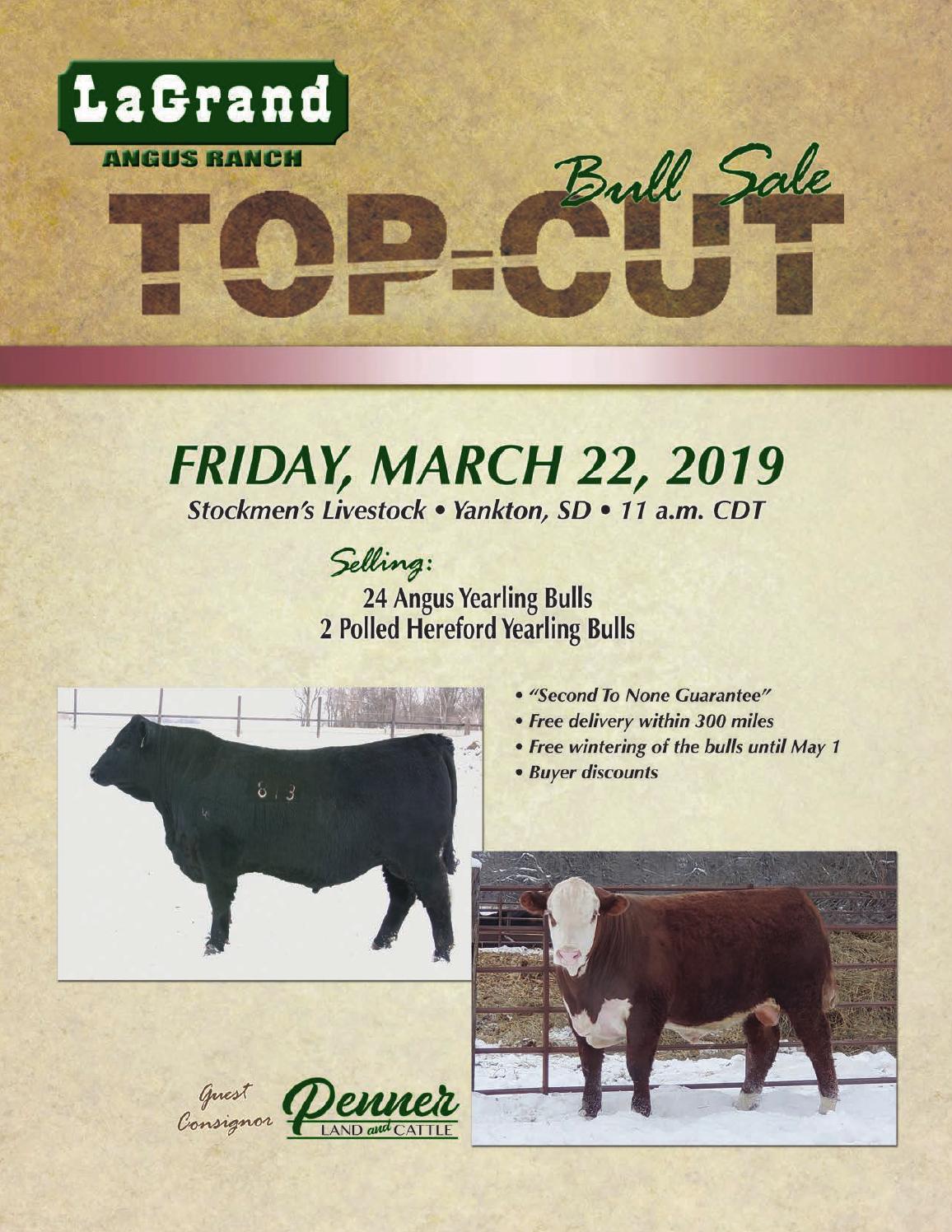 LaGrand Angus Ranch 2019 Bull Sale Catalog by LivestockDirect Issuu
