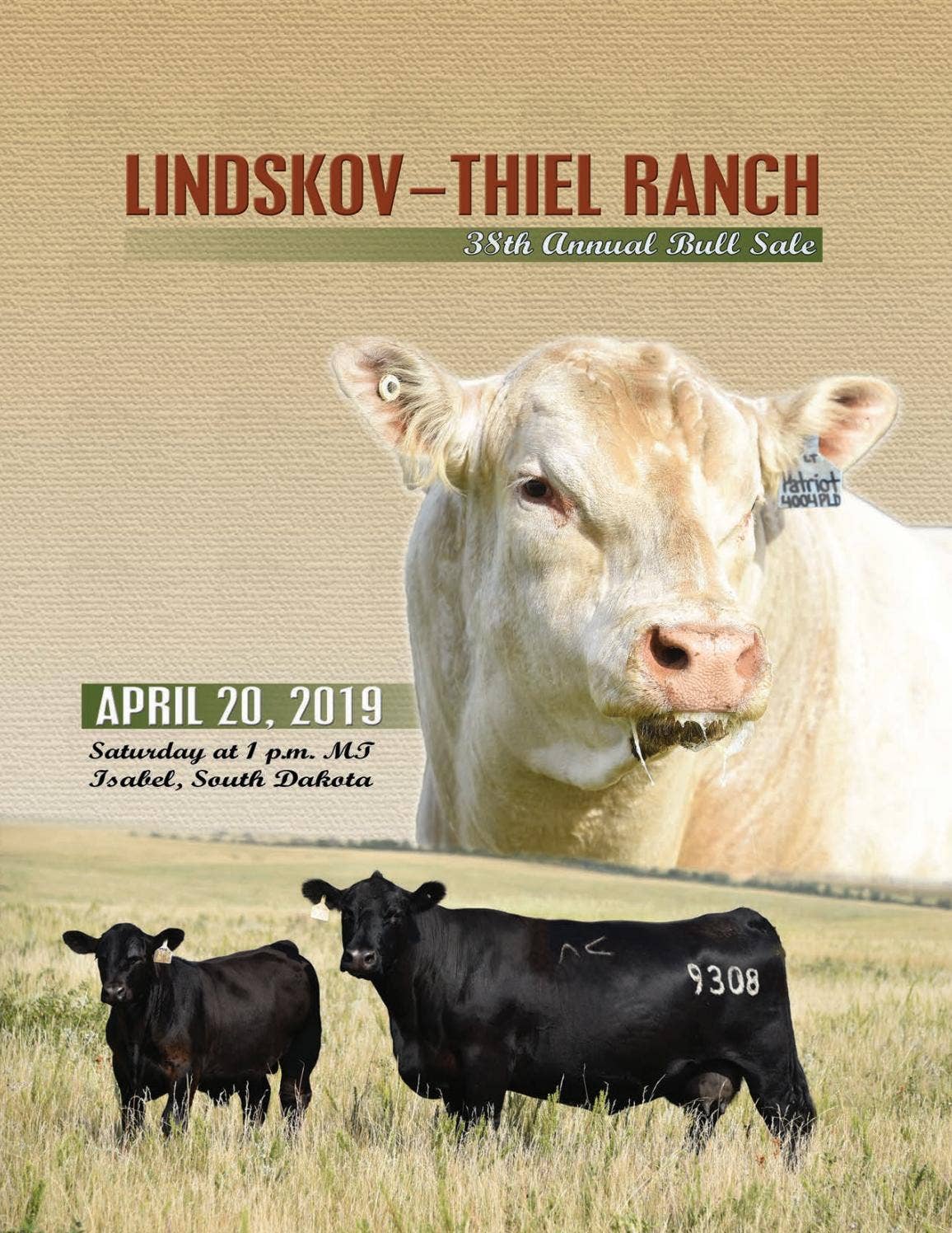 LindskovThiel Ranch 2019 Bull Sale Catalog by LivestockDirect Issuu
