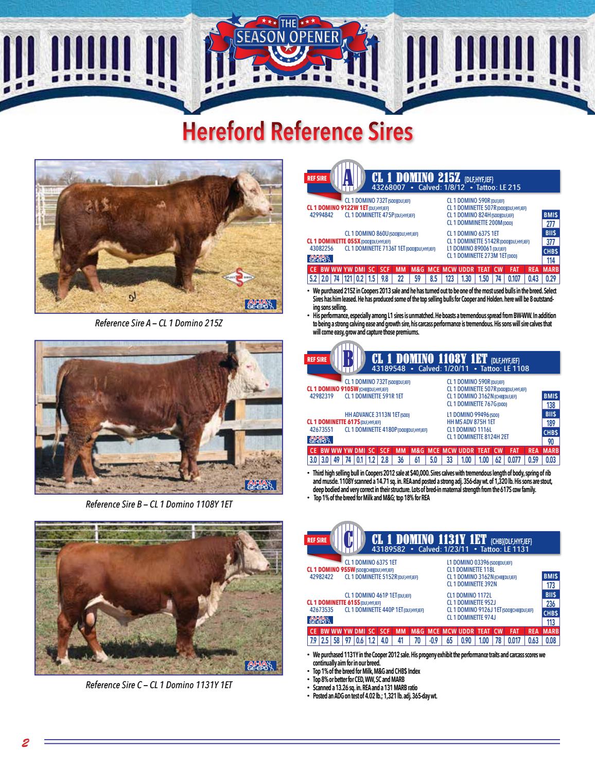 B&D Herefords & Angus Annual Production Sale by American Hereford