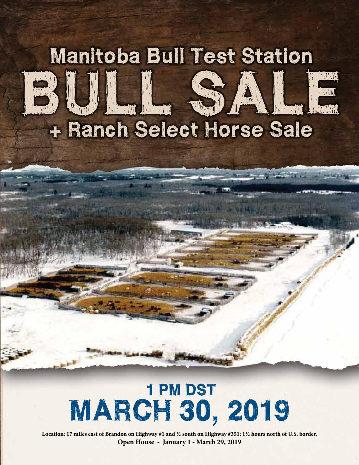 Douglas Bull Test 2019 Bull Sale by Charolais Banner Issuu