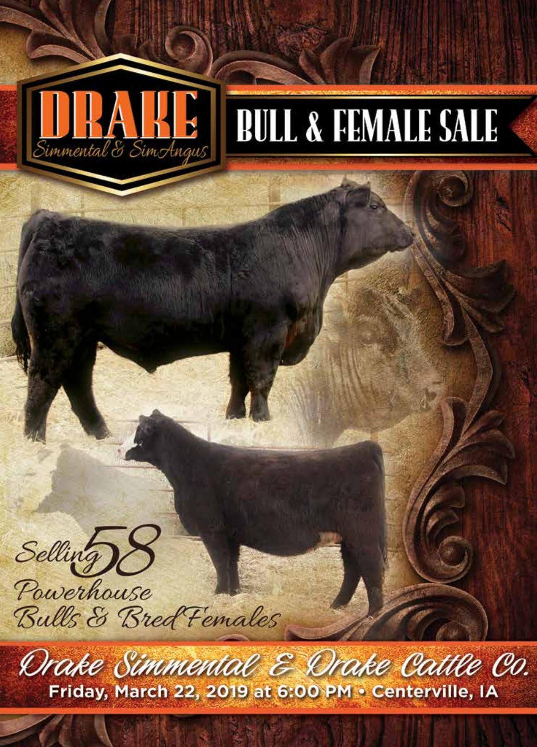 2019 Drake Bull and Female Sale Catalog by Eberspacher Enterprises Issuu