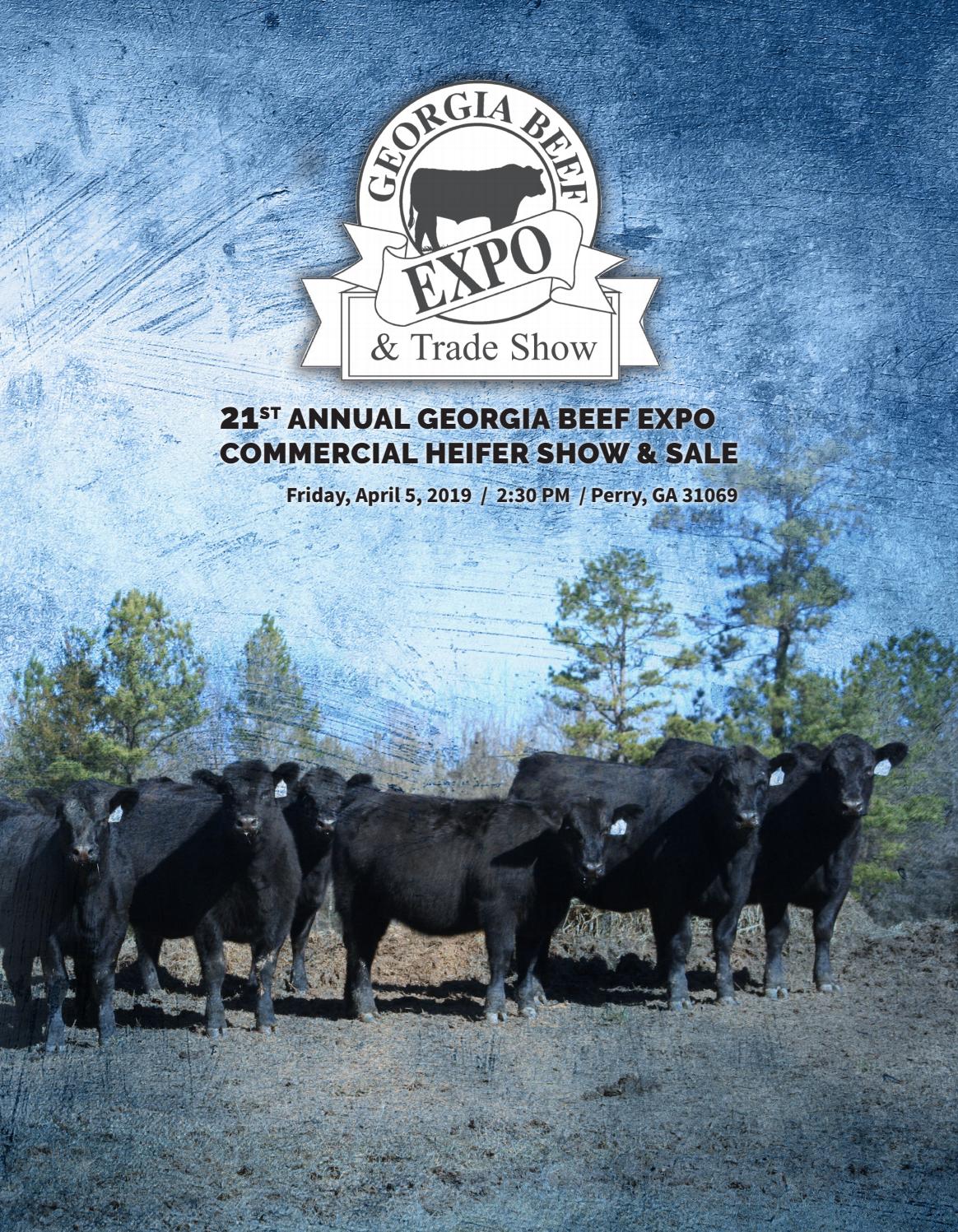 Beef Expo Commercial Heifer Show & Sale 2019 by Generation 6