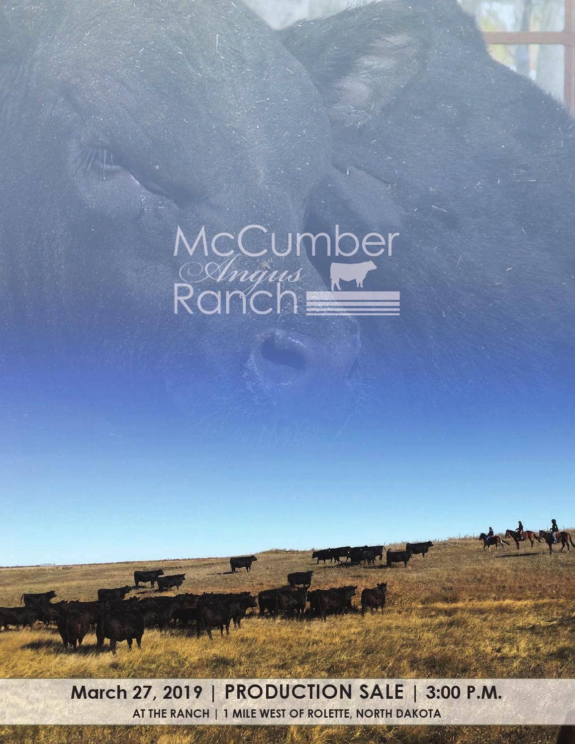 Mccumber Angus Ranch McCumber Angus Ranch - 2019 Bull Sale Catalog by LivestockDirect - Issuu