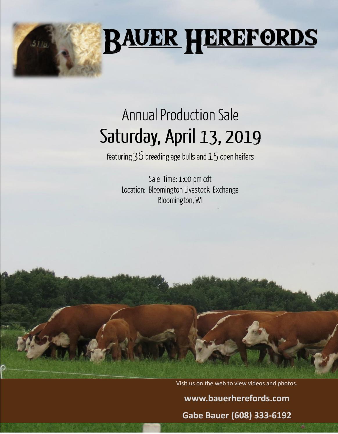 Bauer Herefords Annual Production Sale by American Hereford Association
