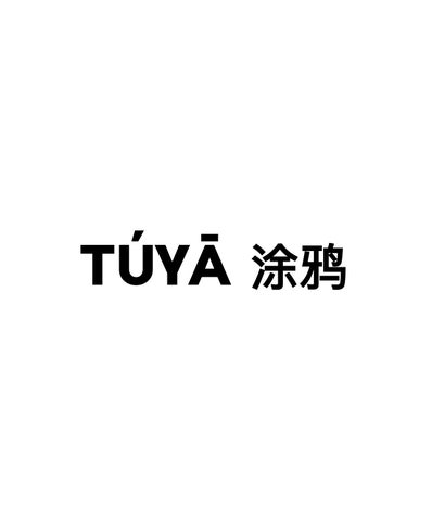 TUYA 中国 Grafitti and Street Art 第 3 页