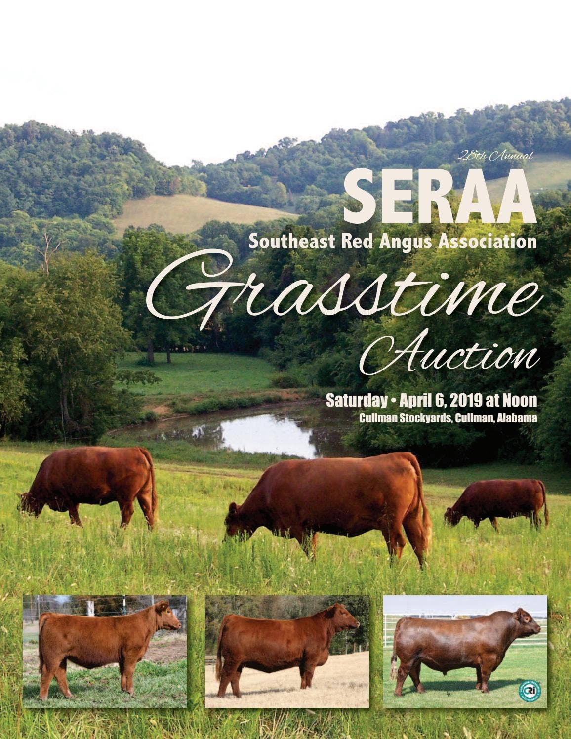 Southeast Red Angus Association Grasstime Auction by Tracy McMurphy - Issuu