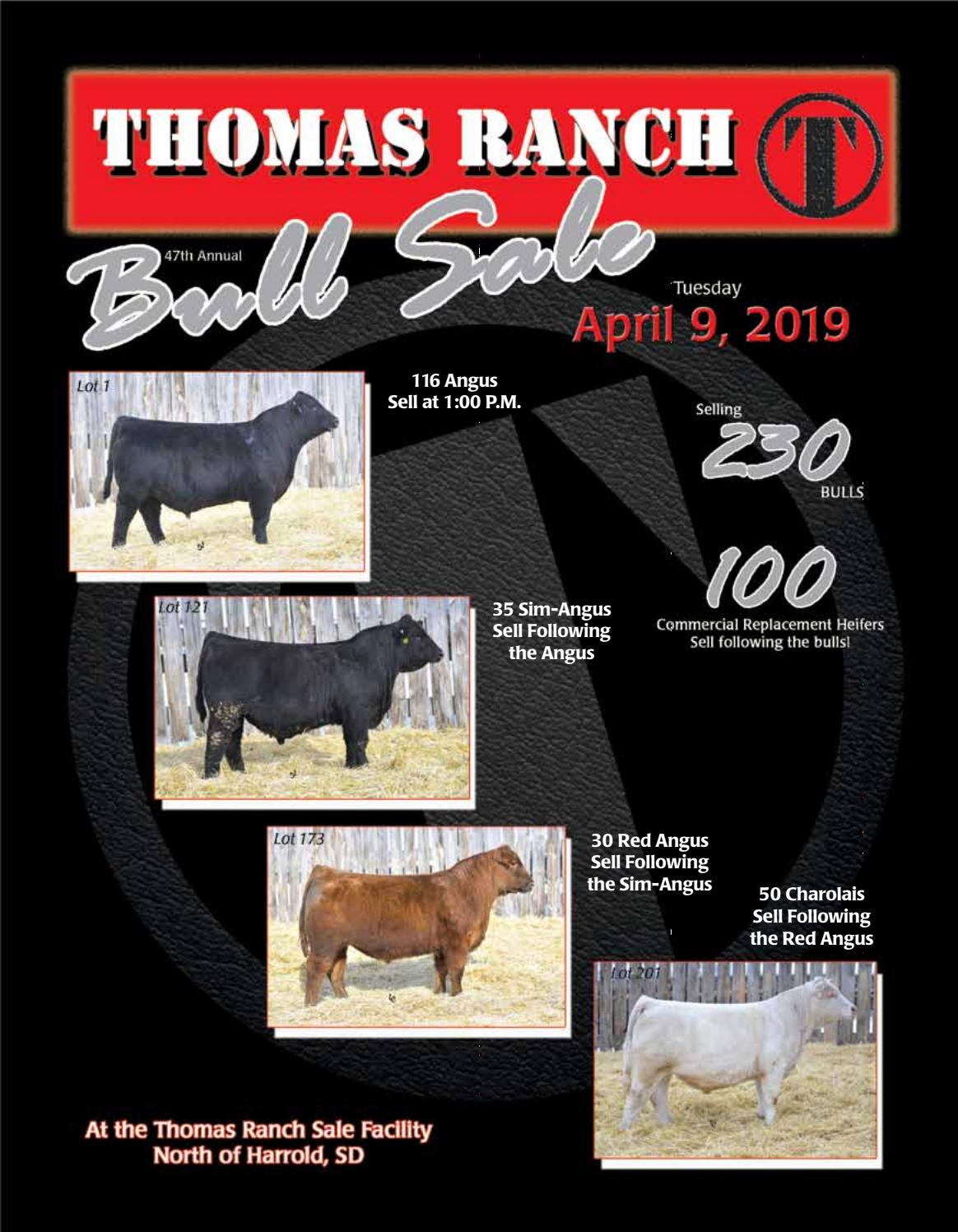 2019 Thomas Ranch Bull Sale Catalog by Ranch House Designs Issuu