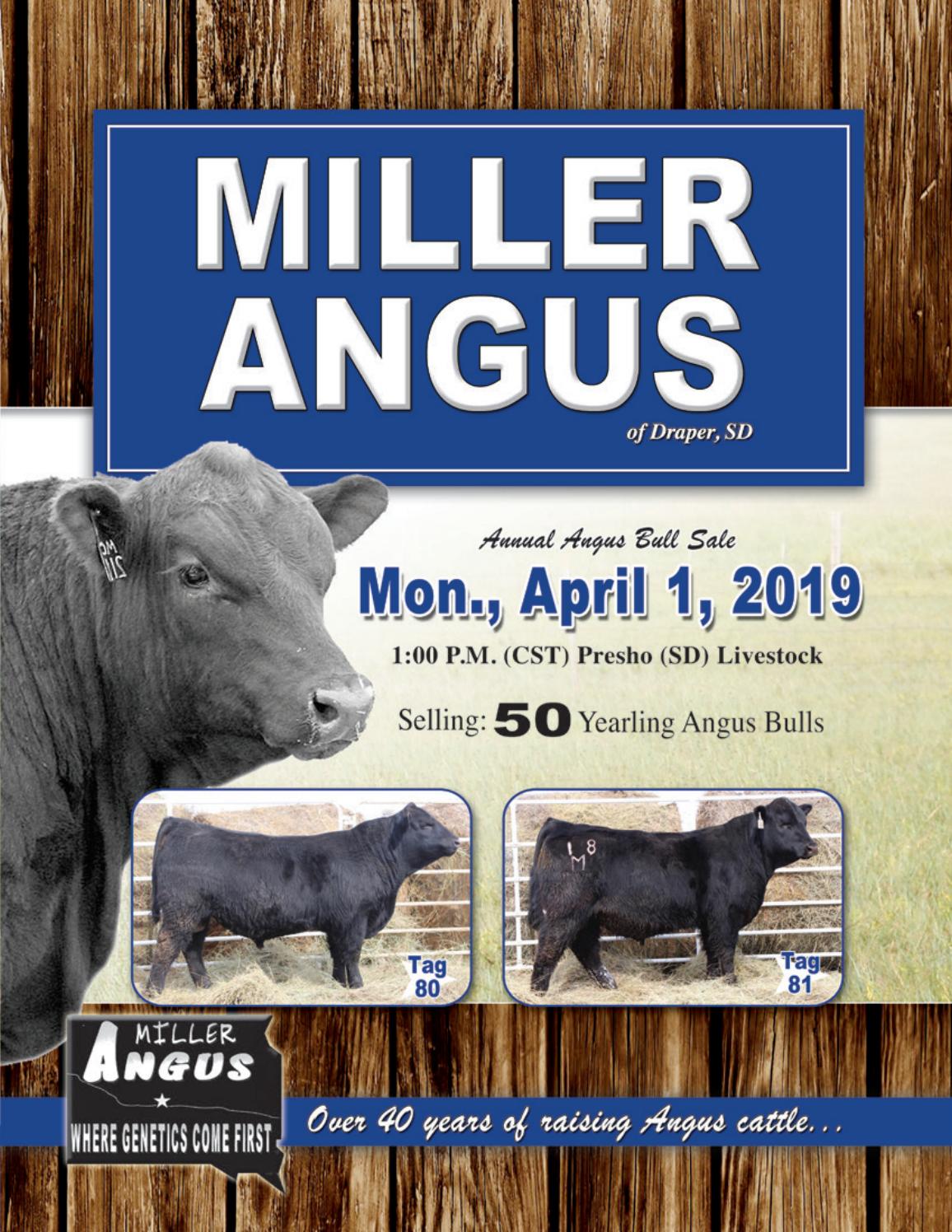 Miller Angus 2019 Catalog by RPI Promotions Issuu