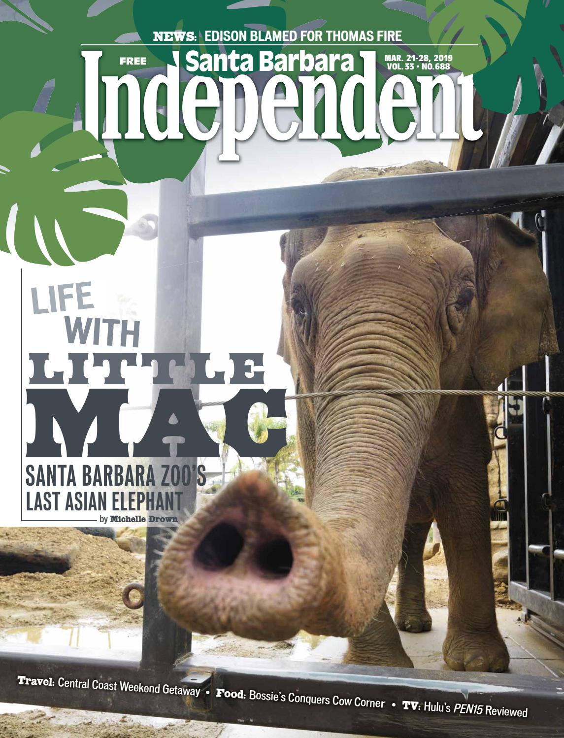 Santa Barbara Independent, 3/21/19 by SB Independent - Issuu