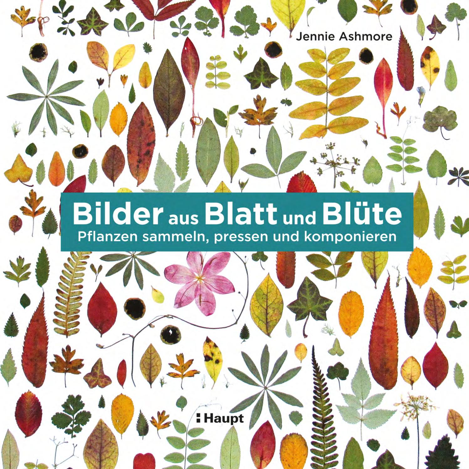 Ashmore, Bilder aus Blatt und Blüte by Haupt Verlag - Issuu