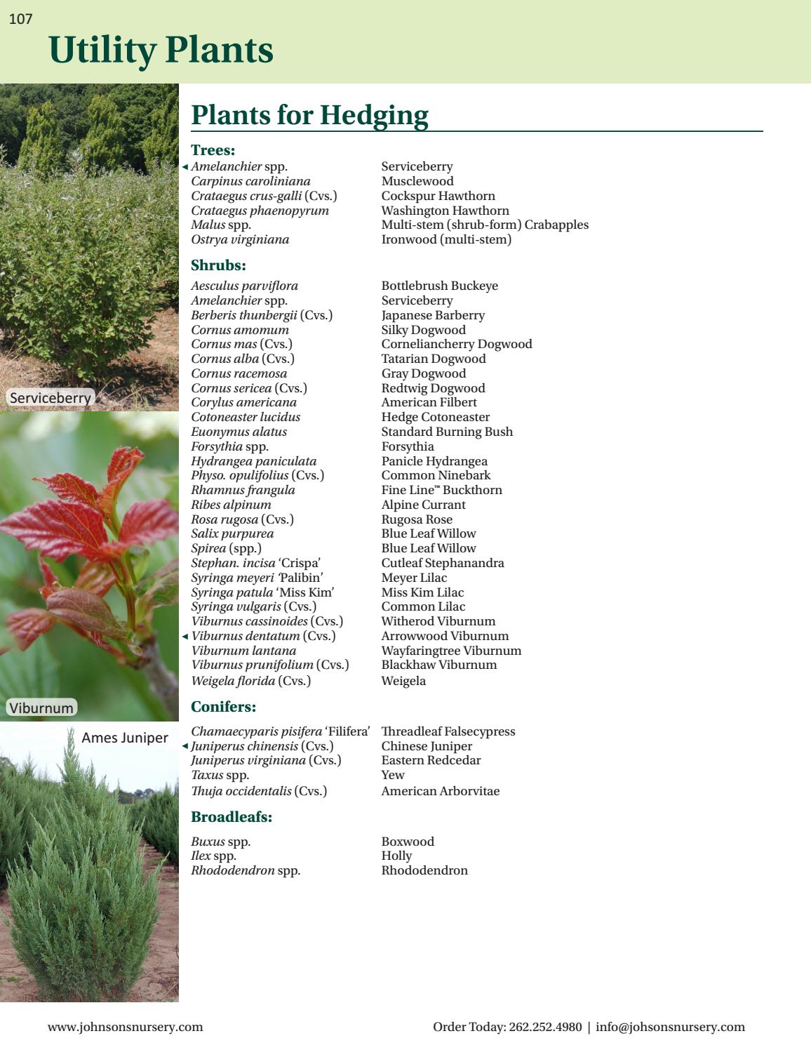 Johnson's Nursery Plant Reference Guide by Johnson's Nursery, Inc. Issuu