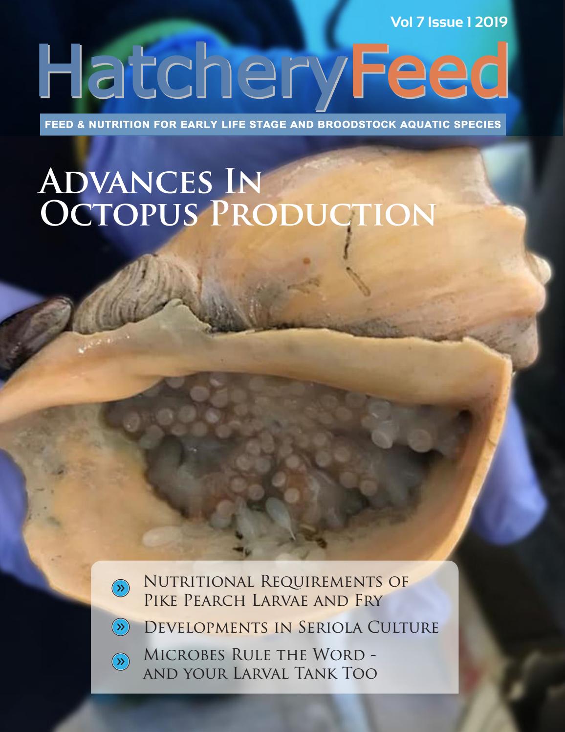 Hatcheryfeed Vol 7 Issue 1 2019 By Aquafeed Com Issuu