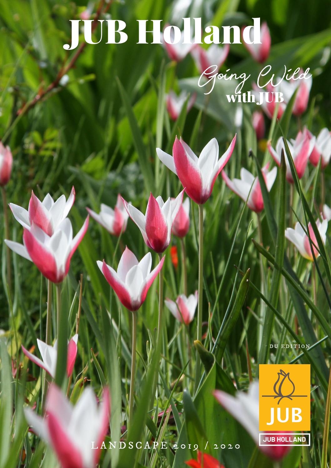 Mehrbl/ütige Tulpenzwiebeln Happy Family Tulpen 10 Blumenzwiebeln