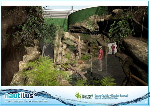 Marwell Zoo - Tropical 家居 Design Document 第 14 页