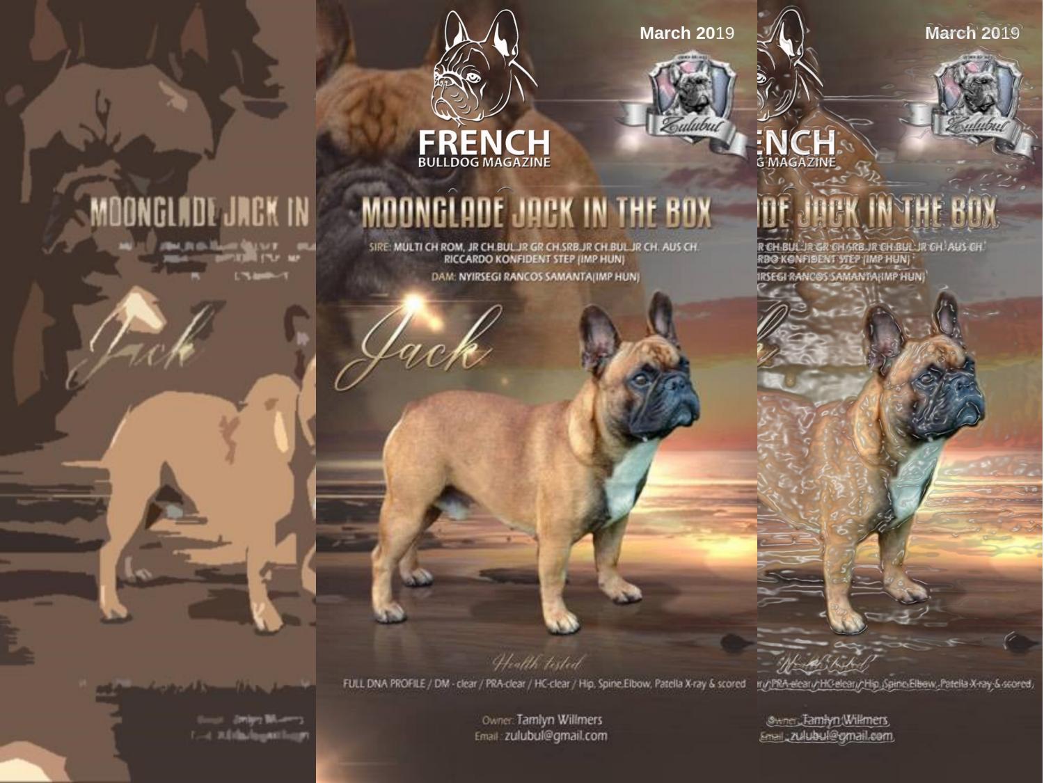 french bulldog crufts 2019
