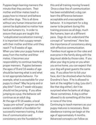 Page 7 of Does Your Dog Have Manners?