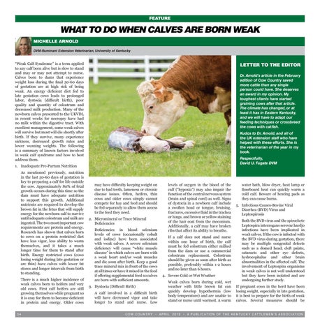 Cow Country News April 2019 by The Kentucky Cattlemen's Association