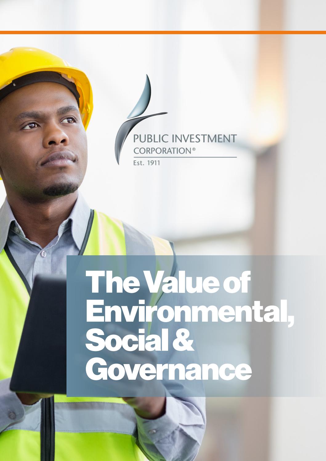 Public Investment Corporation Brochure 2019 by Energy Digital Issuu