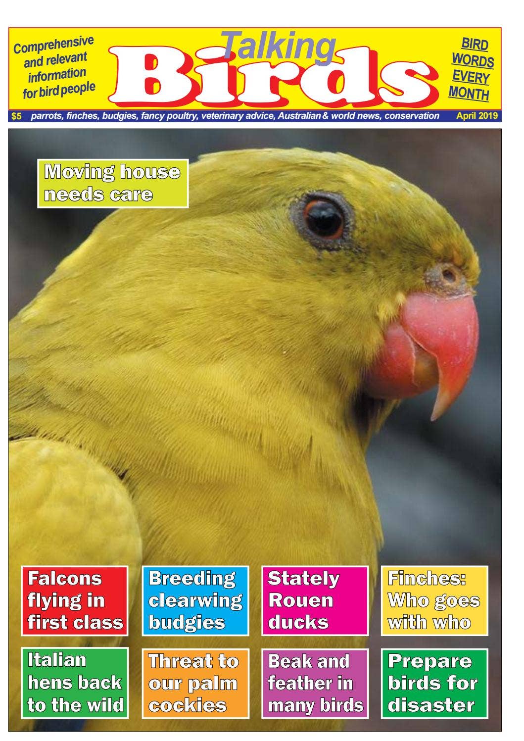 Talking Birds April 2019 Preview by ICTimagelink - Issuu