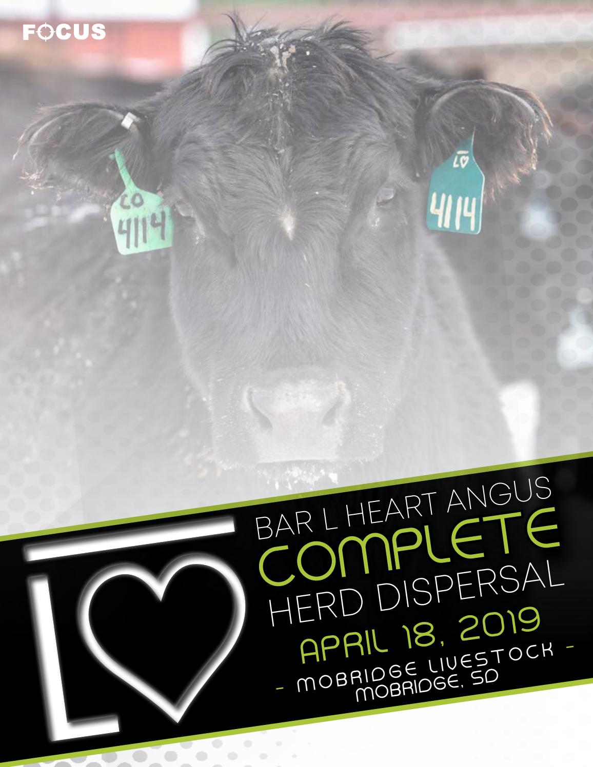 Bar L Heart Angus Complete Herd Dispersal by Focus Marketing Group, Inc