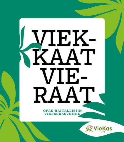 teini veli suku puoli