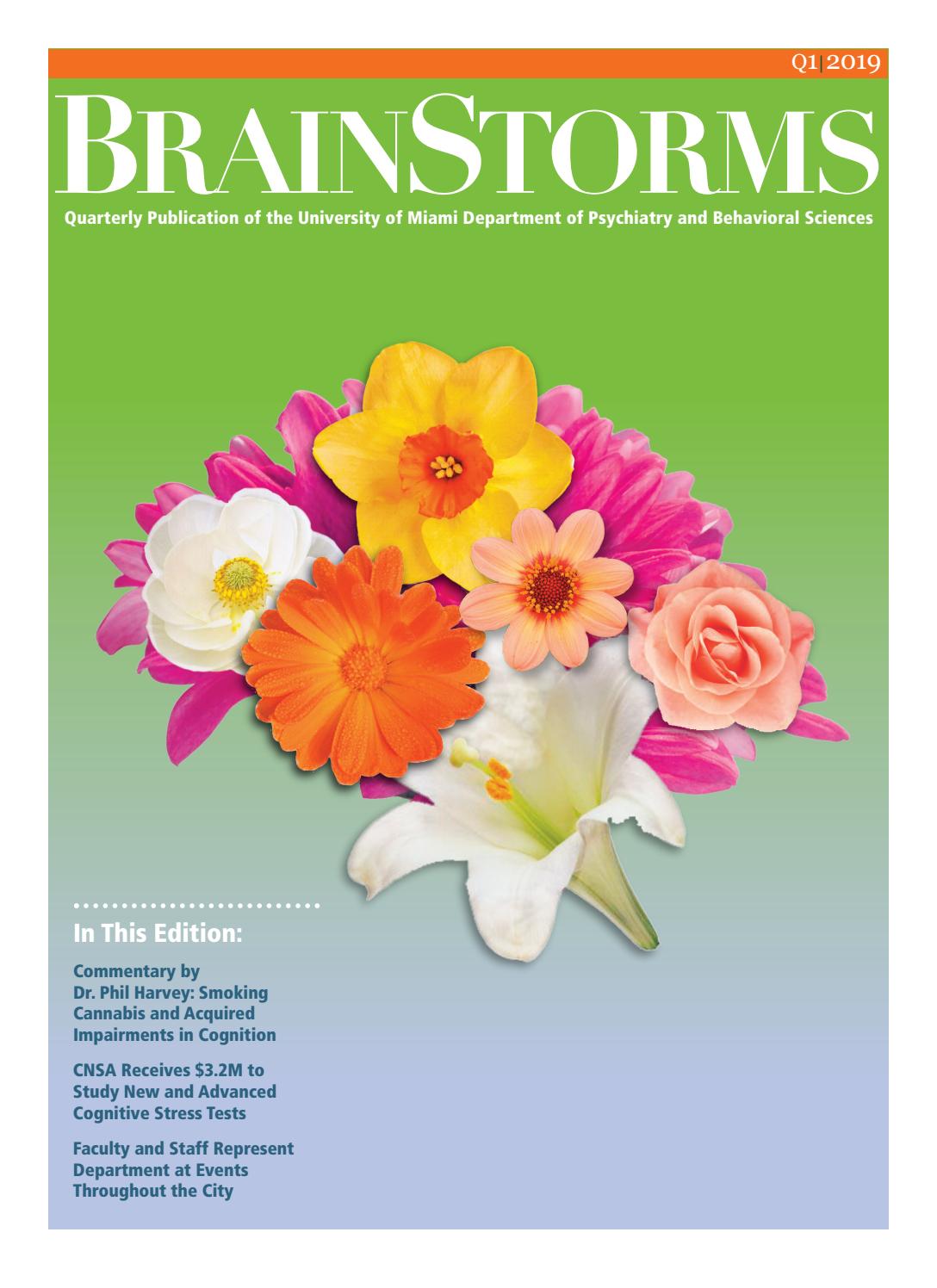 BrainStorms Q1 2019 by University of Miami Department of Psychiatry and