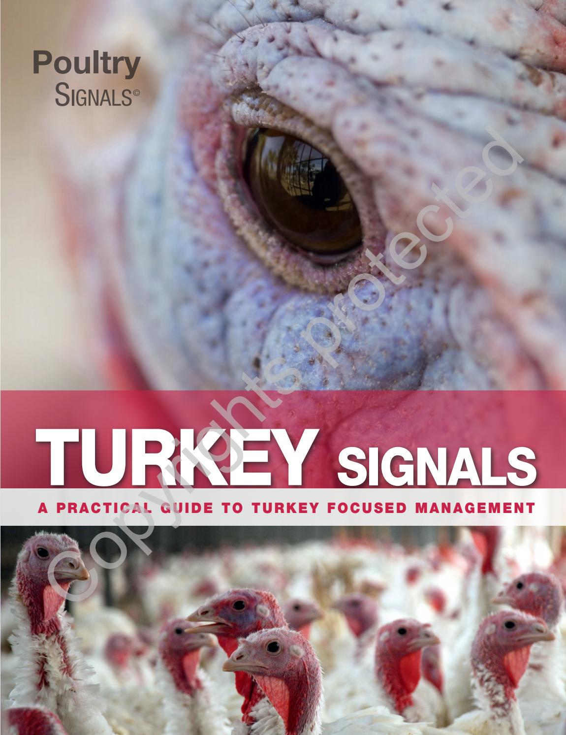 Turkey Signals By Roodbont Publishers Issuu