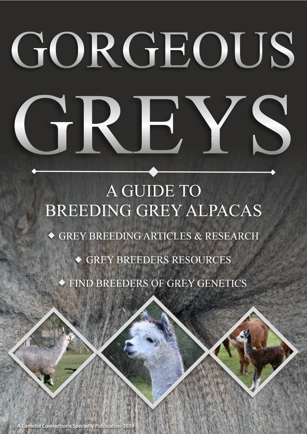 Gorgeous Greys - A Guide To Breeding Grey Alpacas by Camelid ...