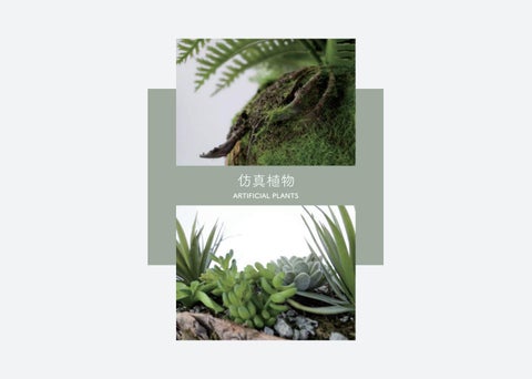 / 曙 muse feather 2019 / 第 24 页