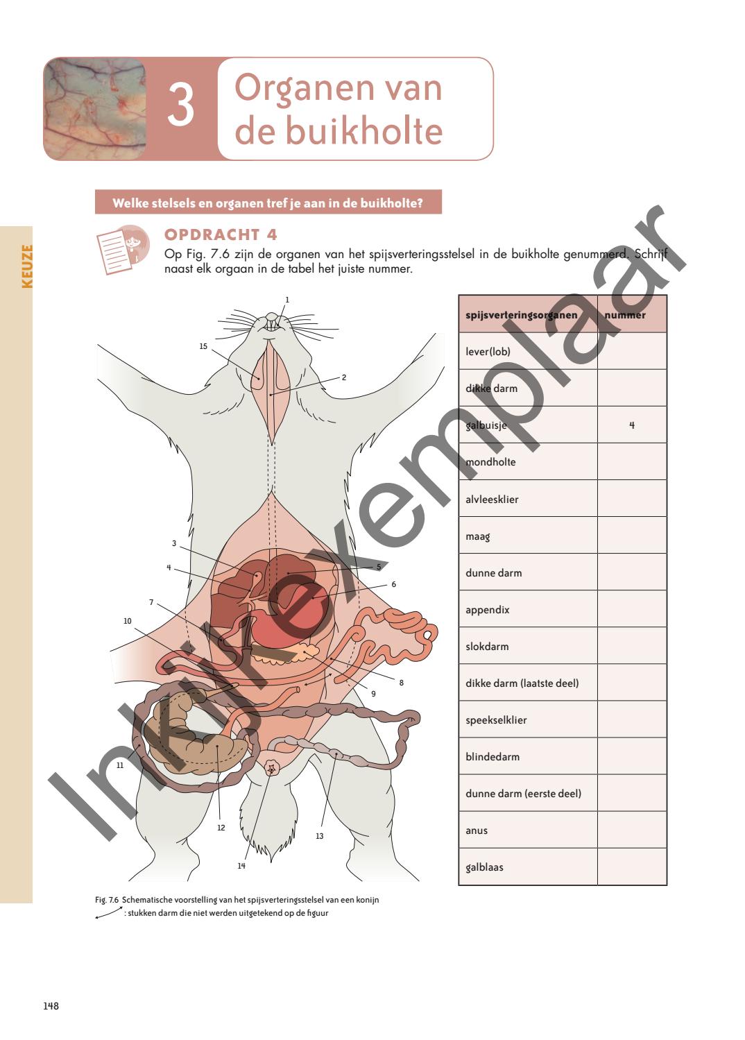 Biogenie+ 1 leerwerkboek - Editie 2019 by VAN IN - Issuu