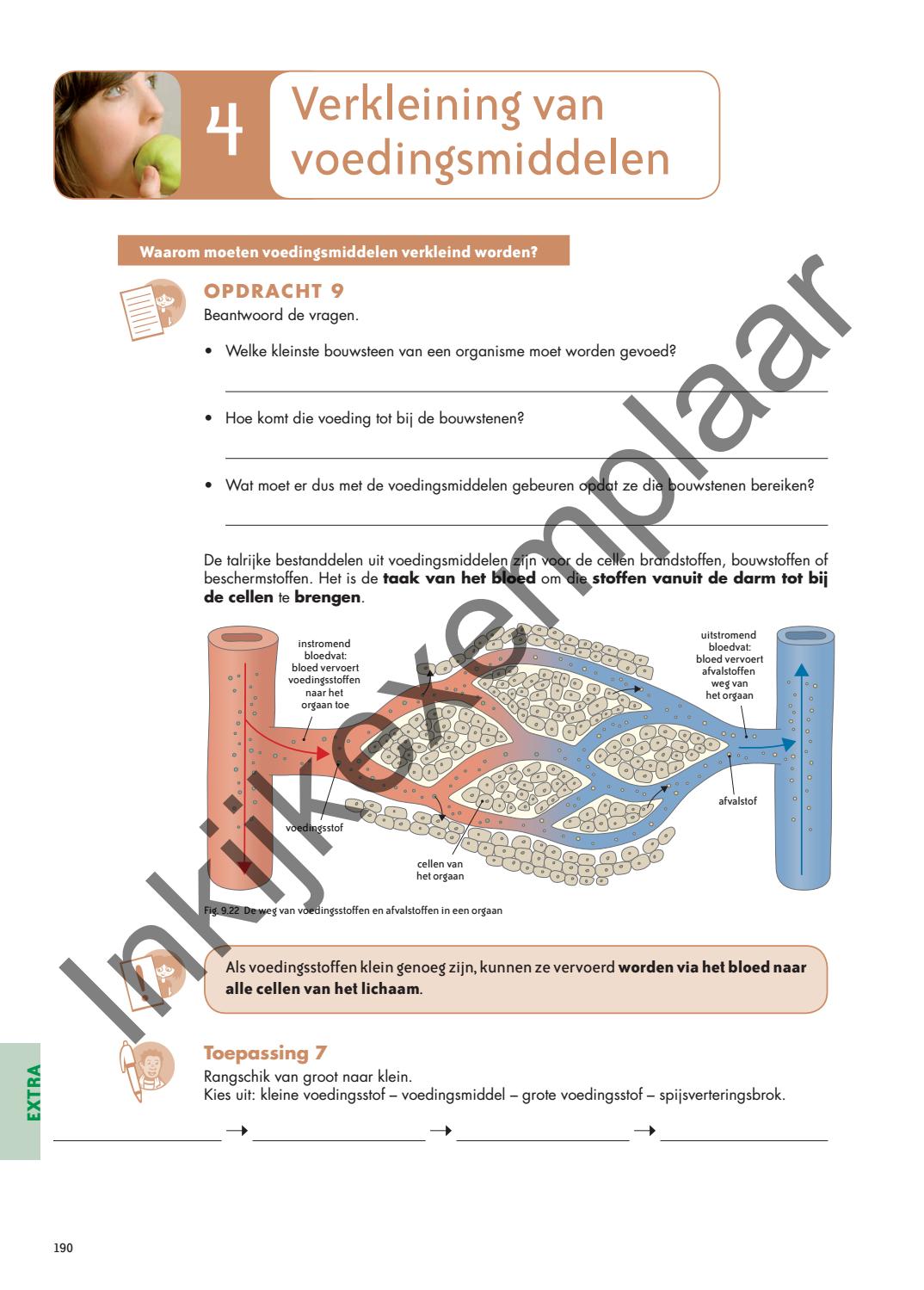 Biogenie+ 1 leerwerkboek - Editie 2019 by VAN IN - Issuu