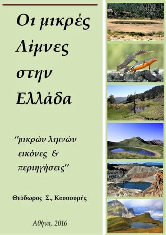 Με διοξείδιο του άνθρακα νεκροί θαλάσσιοι πάπυροι