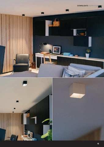 ACEC Distributors Ltd 灯饰目录 · Downlights 第 15 页