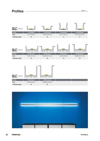 NEW LED STRIPS 2019 第 12 页
