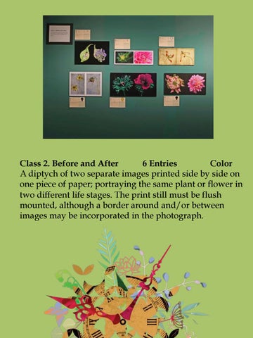 Florescence Time Photography Report 2019 第 8 页