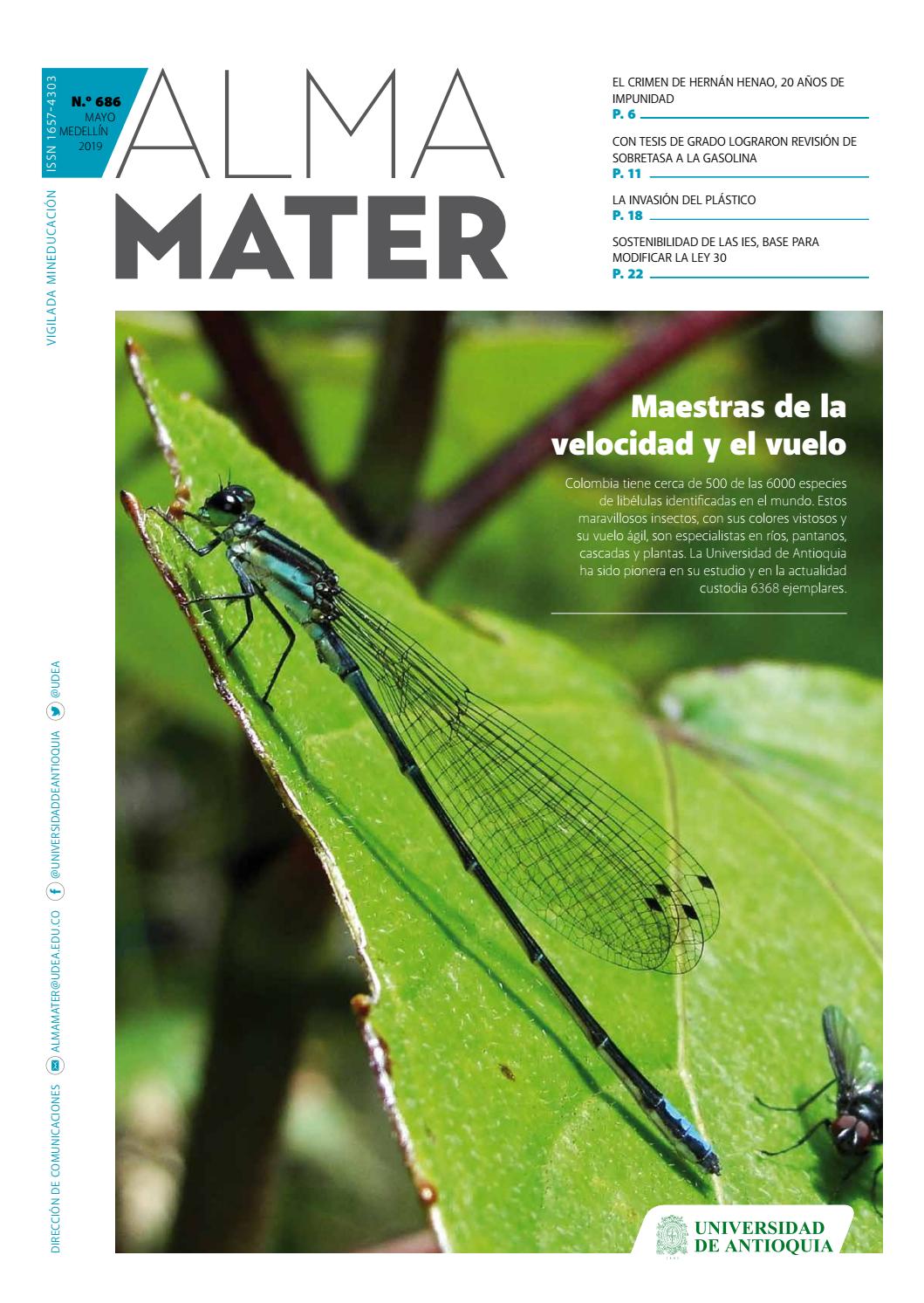 insecto estomacal septiembre 2019