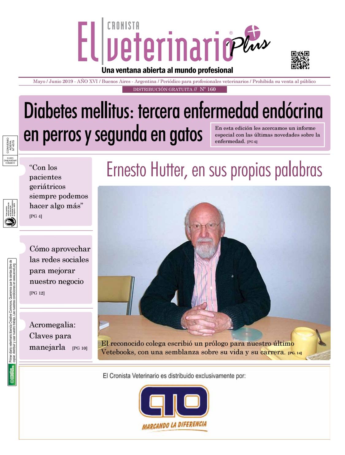 ceguera en perros por diabetes y alcohol