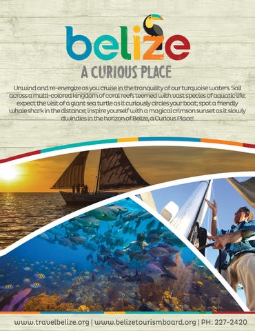 Caribbean Culture and Lifestyle - 期 6 - May 2019 第 6 页