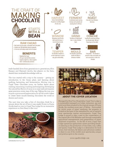 Caribbean Culture and Lifestyle - 期 6 - May 2019 第 9 页