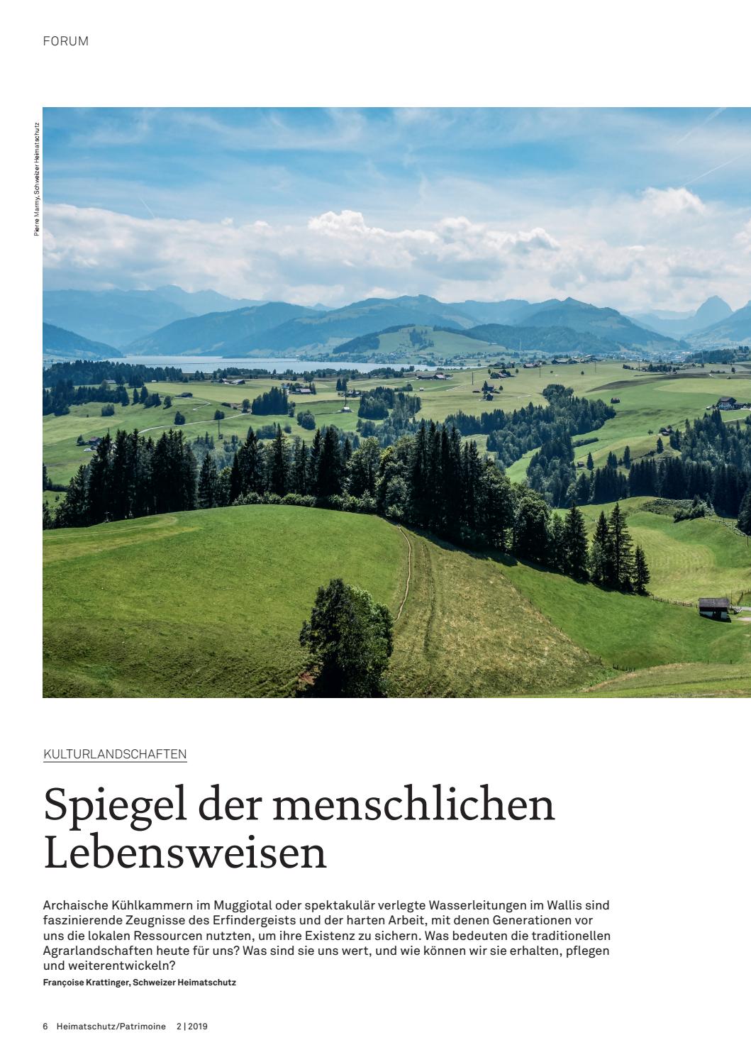 Heimatschutz/Patrimoine 22019 by Schweizer Heimatschutz Issuu